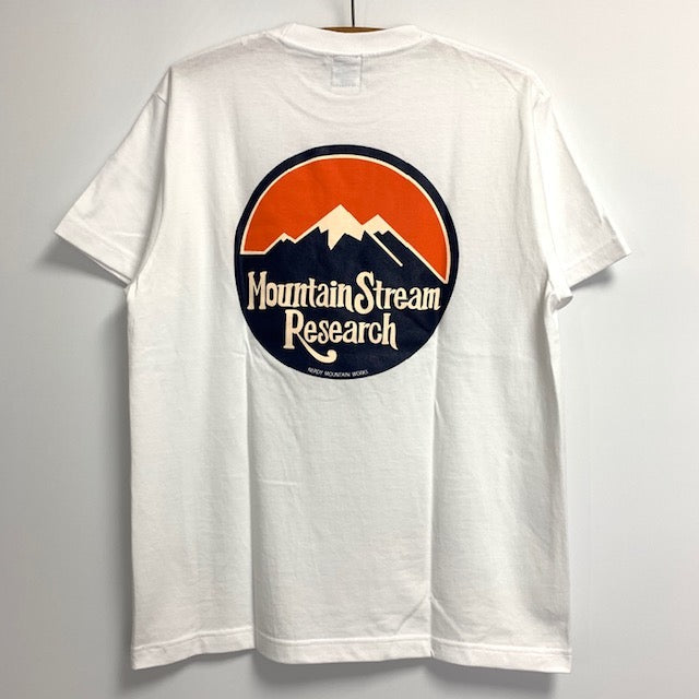 MSR TEE