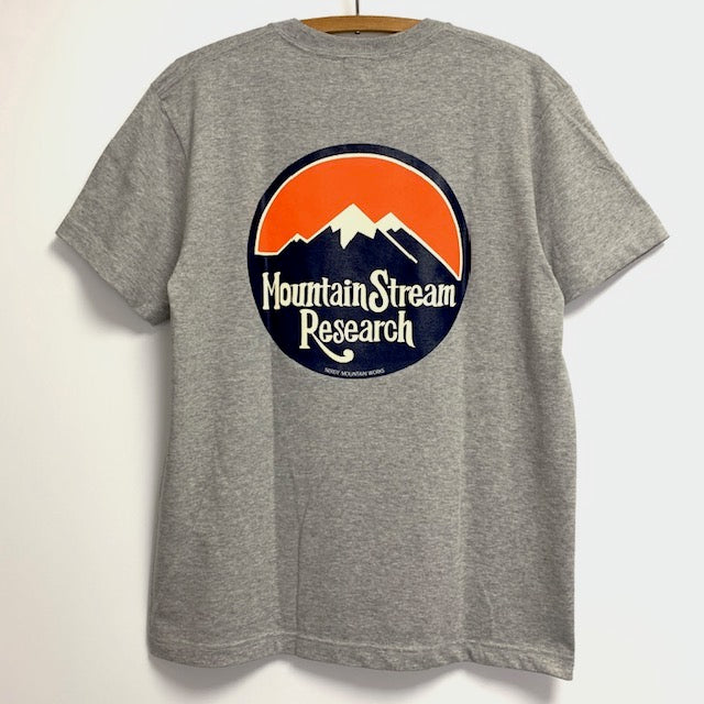 MSR TEE